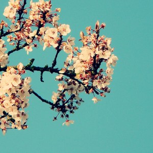 久久久无码精品亚洲日韩AV电影
